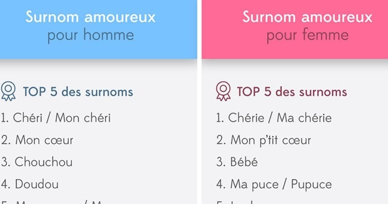 Voici les 200 surnoms les plus utilisés pour appeler votre amoureux/amoureuse ! Lequel est le vôtre ?