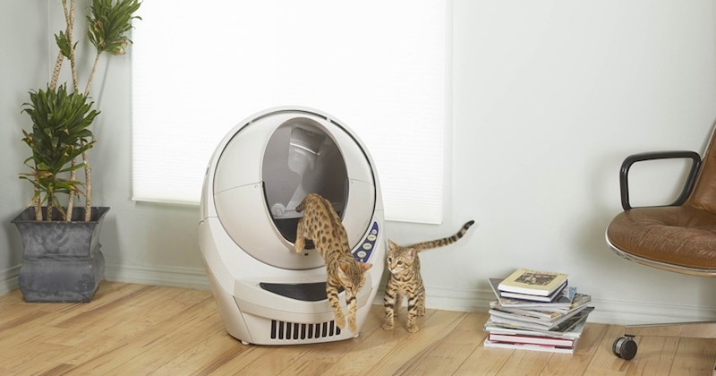 Litter Robot Iii La Litiere Autonettoyante Qui Va Changer Votre Vie Et Celle De Votre Chat