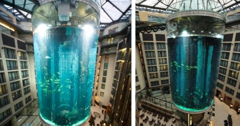Berlin : un aquarium géant qui abritait 1 500 poissons tropicaux éclate dans un hôtel