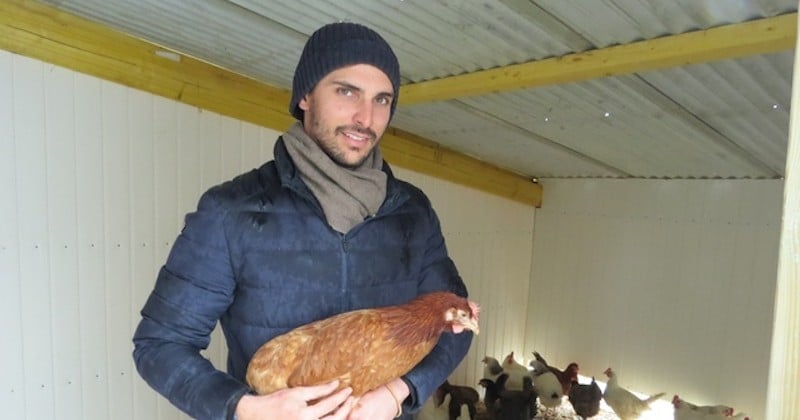 Une association nantaise récupère des poules destinées à l'abattoir et propose de les adopter