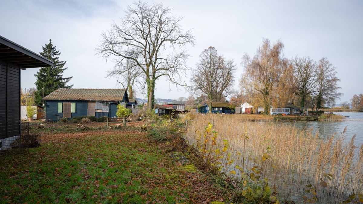 Un millionaire achète une presqu'île et rase les logements pour virer tous les habitants