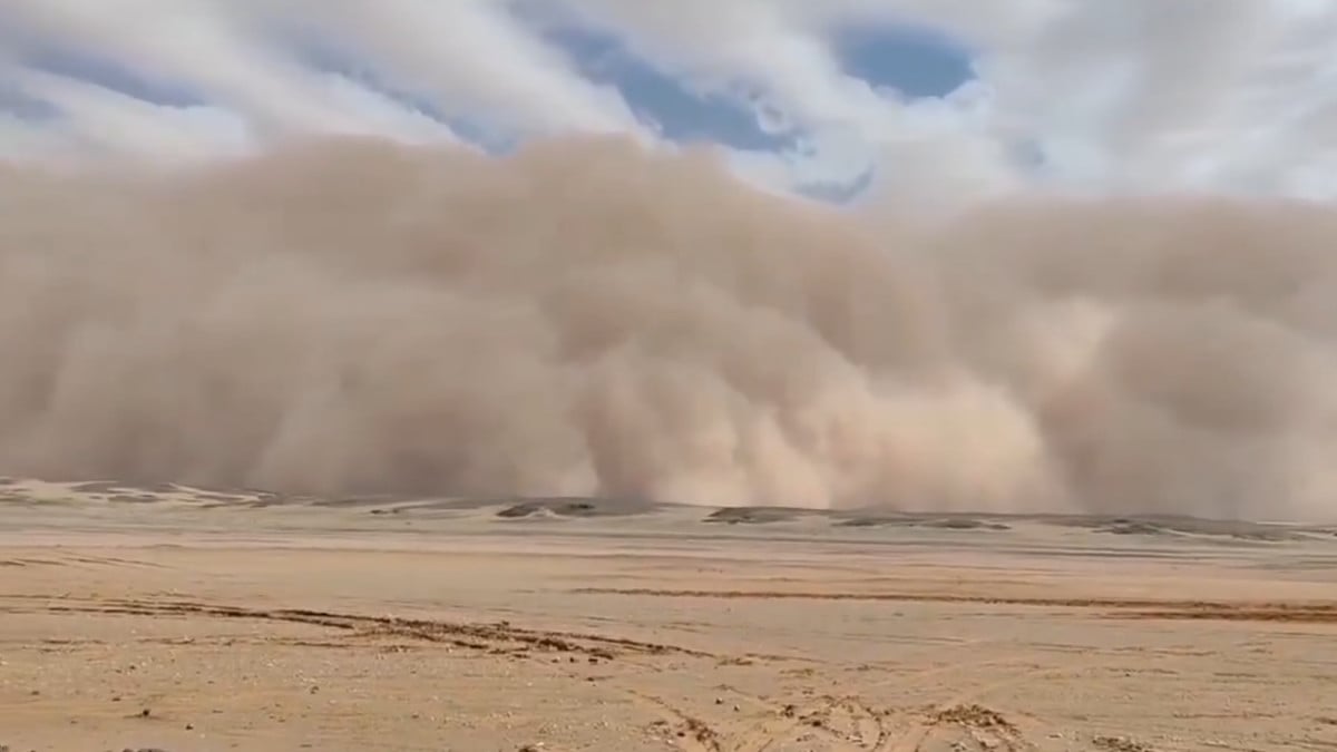 Un gigantesque mur de sable se forme pendant une tempête au Sahara, des images impressionnantes