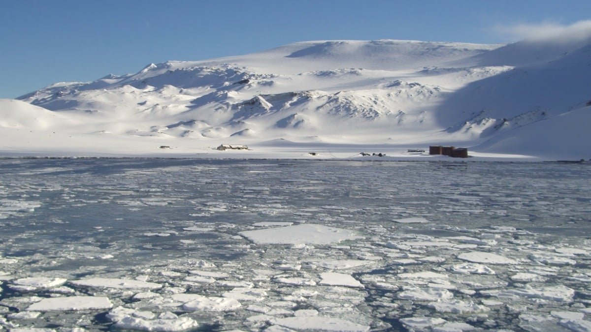 Offres d'emplois insolites : travailler au Pôle Sud, ça vous tente ? L'institut polaire français recrute