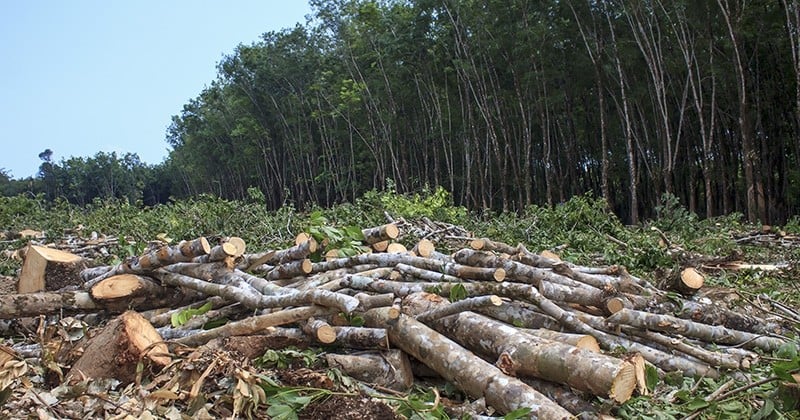 À partir du 2 août, l'Humanité aura utilisé toutes les ressources que peut produire la Terre sur un an