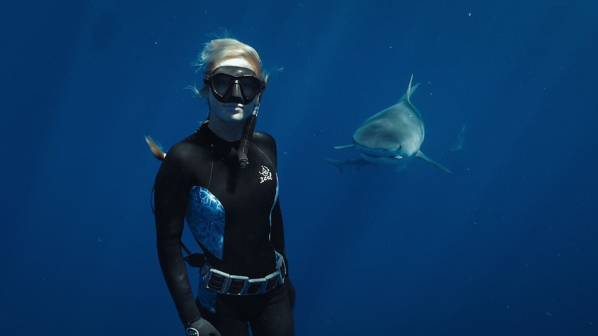 Extrait tiré de En paix avec les requins