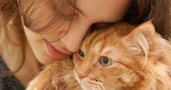 Les chats sont les meilleurs animaux du monde, et voici 9 raisons qui le prouvent par A+B.