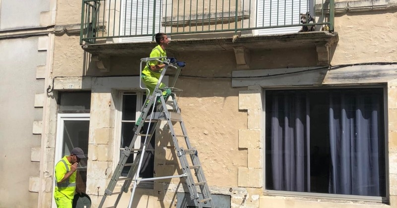 Ils viennent en aide à un chien coincé sur un balcon en plein soleil pour le réhydrater et le rafraîchir