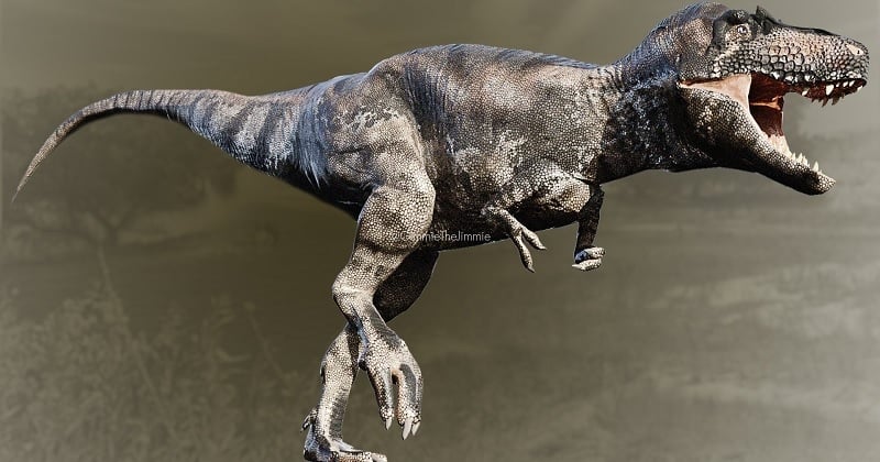 Une nouvelle espèce de dinosaure proche du T-Rex vient d'être découverte par des chercheurs