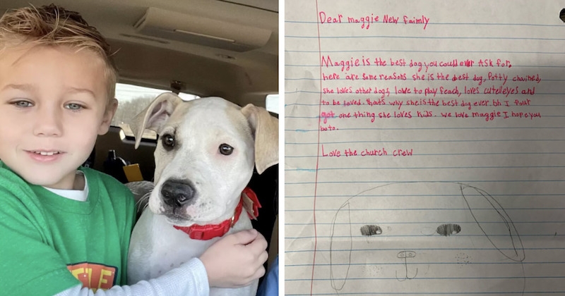 Pour aider une chienne qu'il adore, un enfant écrit des lettres remplies d'éloges destinées aux futurs adoptants