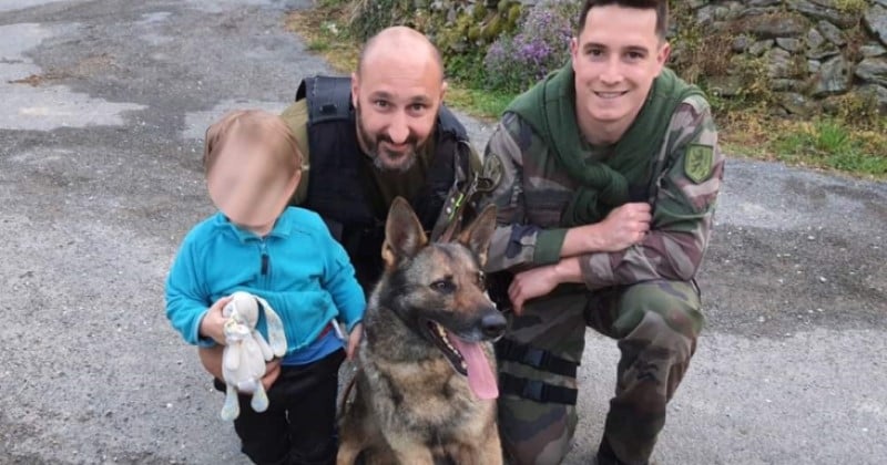 Aveyron : un chien nommé Jedï retrouve la trace d'un enfant perdu grâce à l'odeur de son doudou