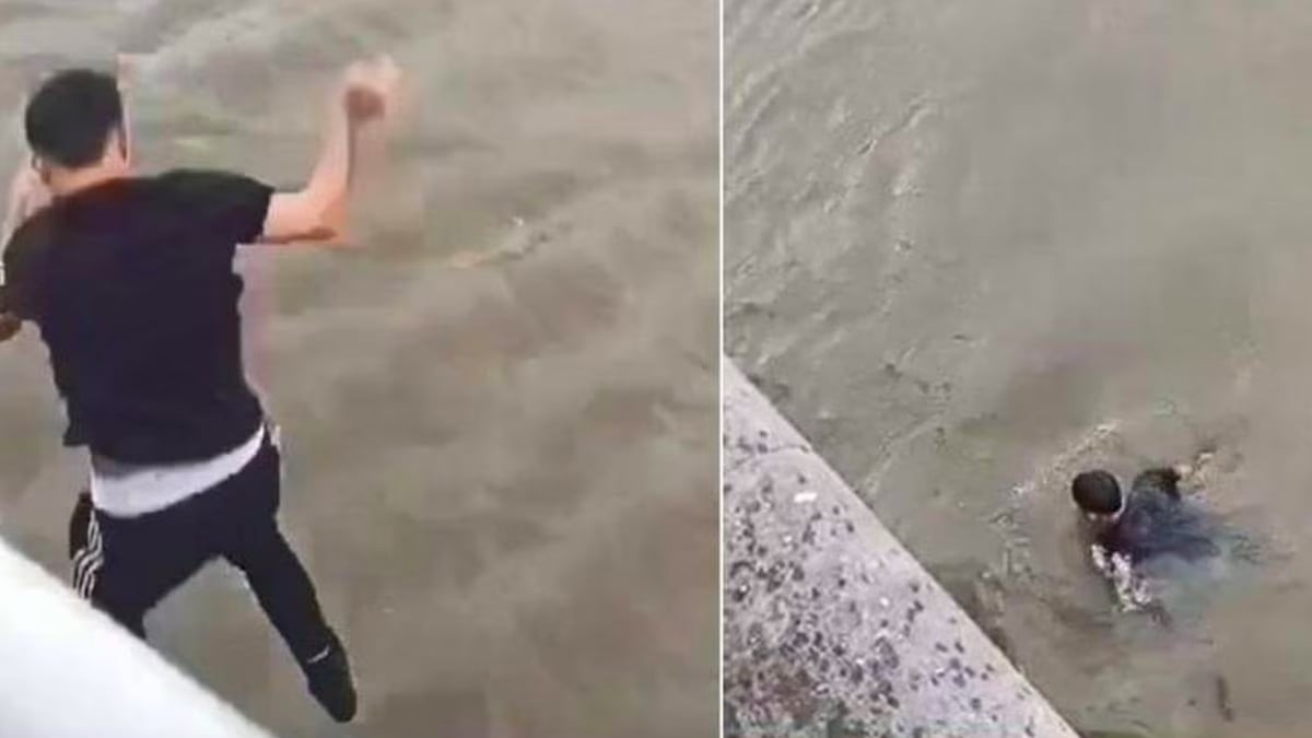 Bruxelles : deux jeunes plongent dans le canal pour sauver un homme de la noyade
