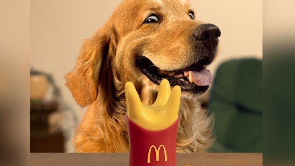 McDonald's va mettre en vente des jouets pour chiens avec ses menus, une première mondiale