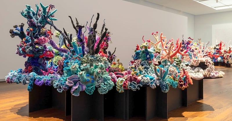 Ces artistes créent d'immenses oeuvres au crochet pour dénoncer le réchauffement climatique