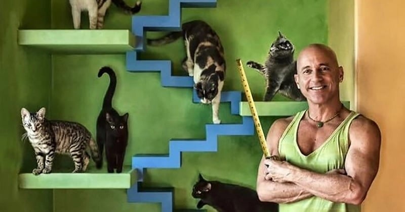 Cet Américain a créé la maison parfaite pour accueillir ses 24 chats