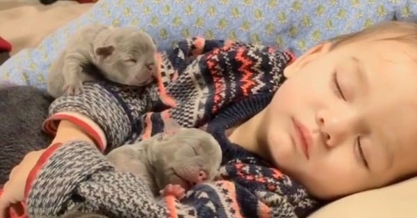 Ce bébé a trouvé la méthode pour faire des siestes très confortables avec ces doudous un peu particuliers !