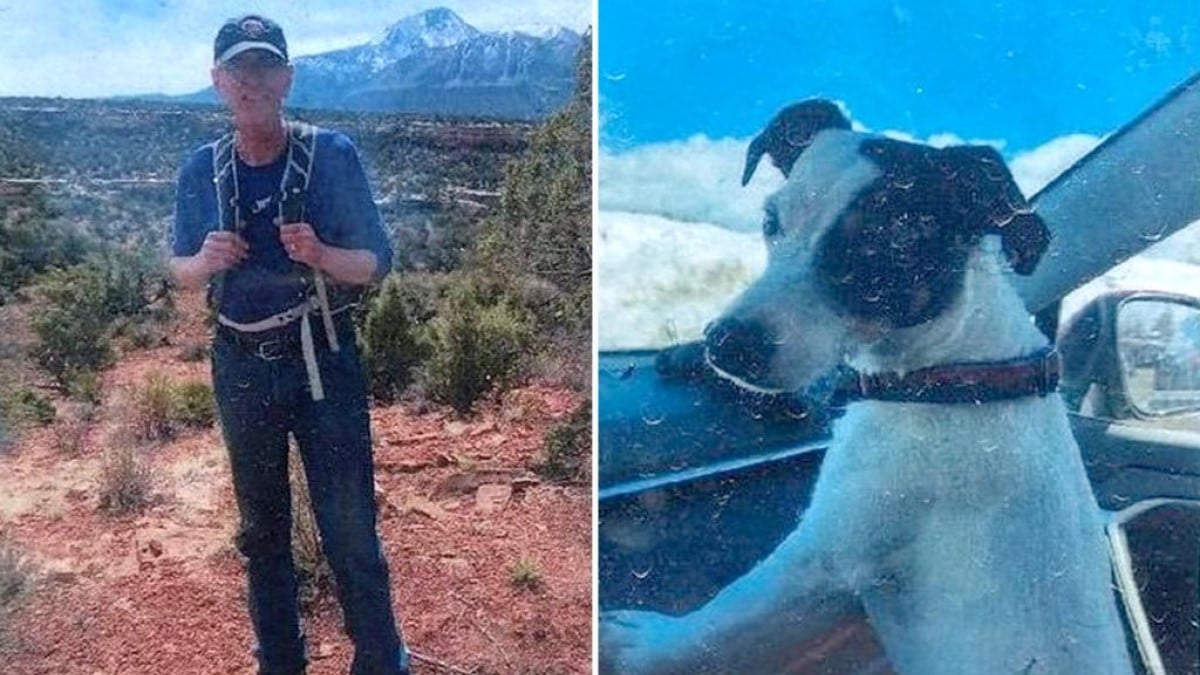 Disparu depuis deux mois, un chien a été retrouvé vivant près du corps de son maître décédé dans les montagnes