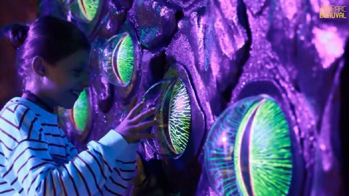 Venez découvrir MonstroZoo, l'expérience immersive fantastique du ZooParc de Beauval !