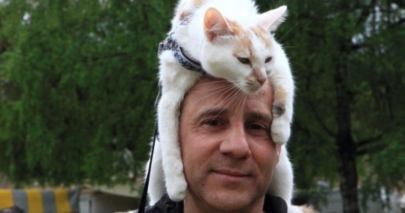 Voici Choupette, une chatte au parcours extraordinaire qui se balade sur la tête de son maître 