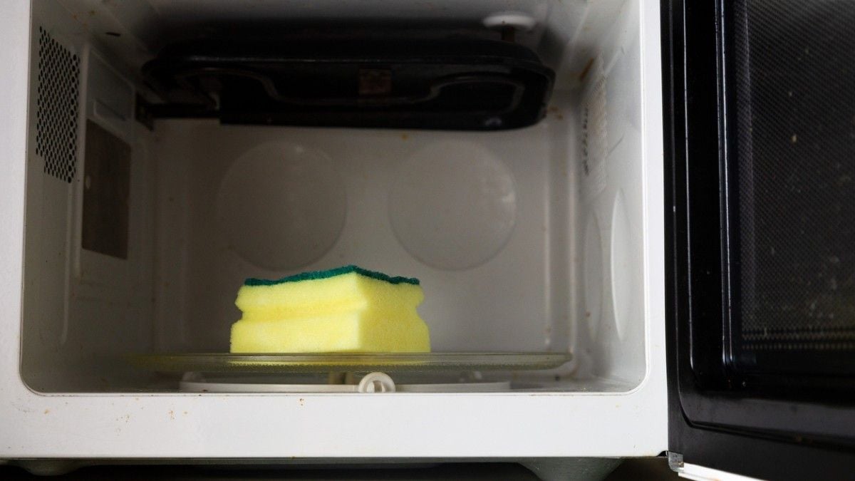 Une éponge dans un micro-onde
