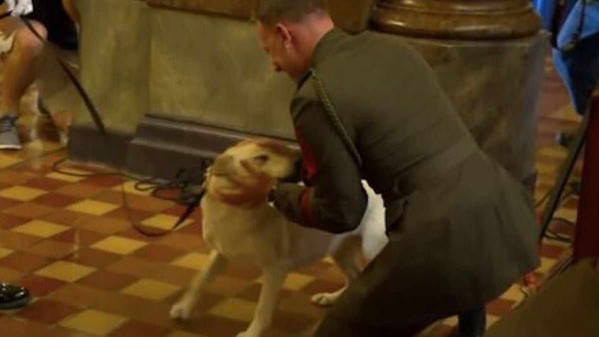 Cet officier et sa chienne héroïque se retrouvent après avoir été séparés à cause du travail 