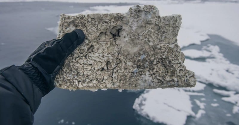 Au cours d'une expédition polaire dans l'Arctique, des scientifiques découvrent des blocs de plastique posés sur la glace