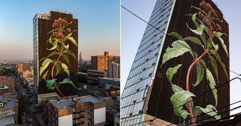 Aux États-Unis, une artiste a peint une gigantesque fresque végétale sur un immeuble de 60 mètres de hauteur
