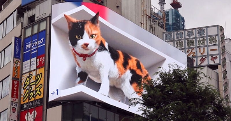 À Tokyo, un chat géant en 3D hypnotise les passants 