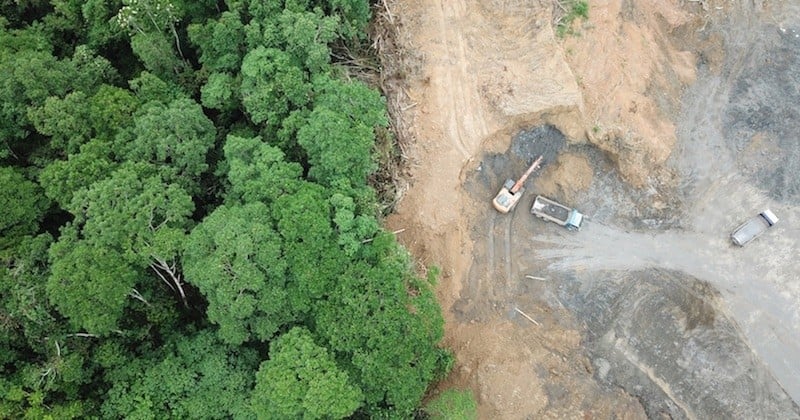 Brésil : augmentation de 85 % de la déforestation de l'Amazonie en 2019