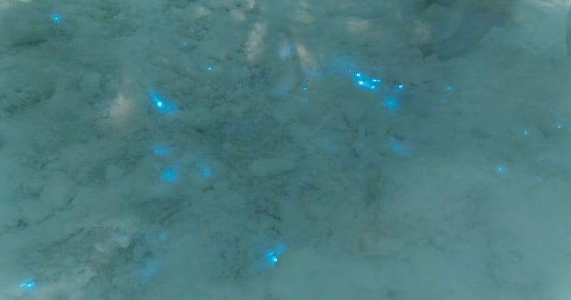 Russie : de la neige bleue bioluminescente découverte dans l'Arctique ?