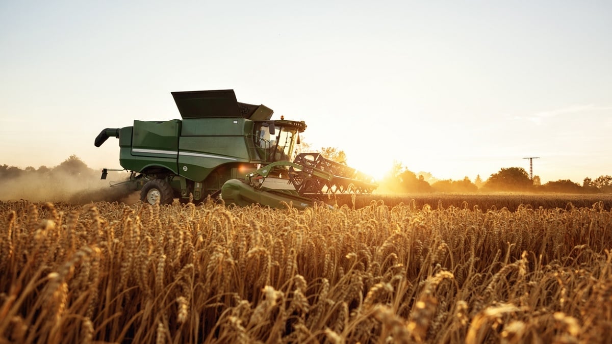 900 emplois saisonniers sont à pourvoir auprès de cette coopérative agricole française pour cet été 