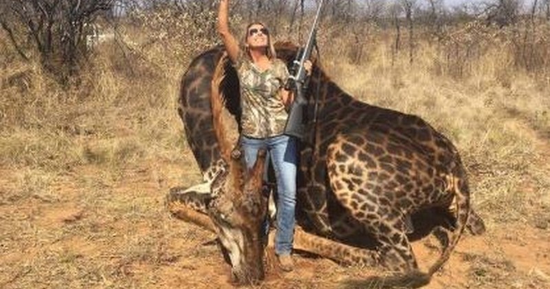 Prise en photo près d'une girafe noire qu'elle vient d'abattre, une Américaine déchaîne les réseaux sociaux 