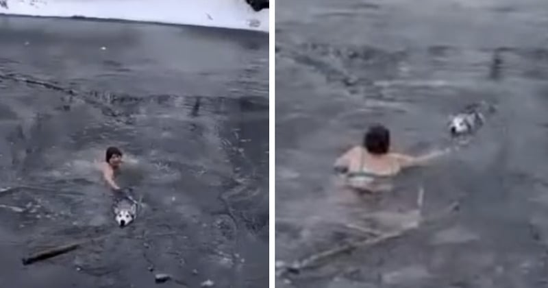 En Russie, un chien pris au piège dans un lac gelé a été secouru par une femme de... 65 ans ! 