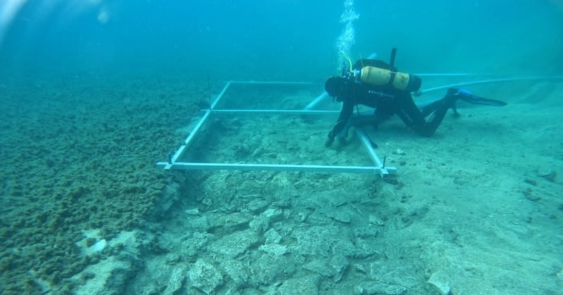 Croatie : des archéologues ont découvert une route de pierre vieille de 7000 ans au fond de la Méditerranée