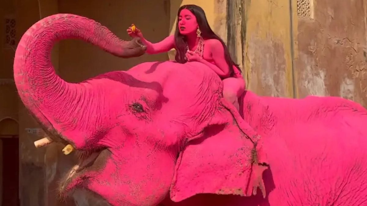 Image du shooting réalisé par Julia Buruleva 