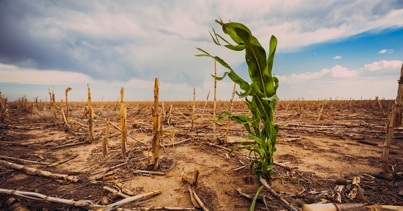 Rapport du Giec : « l'activité humaine est à l'origine du changement climatique à un rythme alarmant ». 