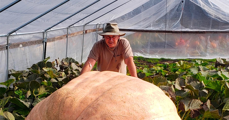 Avec sa citrouille de près de 1 000 kg, il remporte un concours mondial