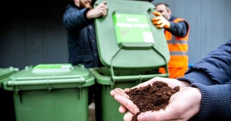 Deux entrepreneurs écossais souhaitent remplacer l'huile de palme par le marc de café