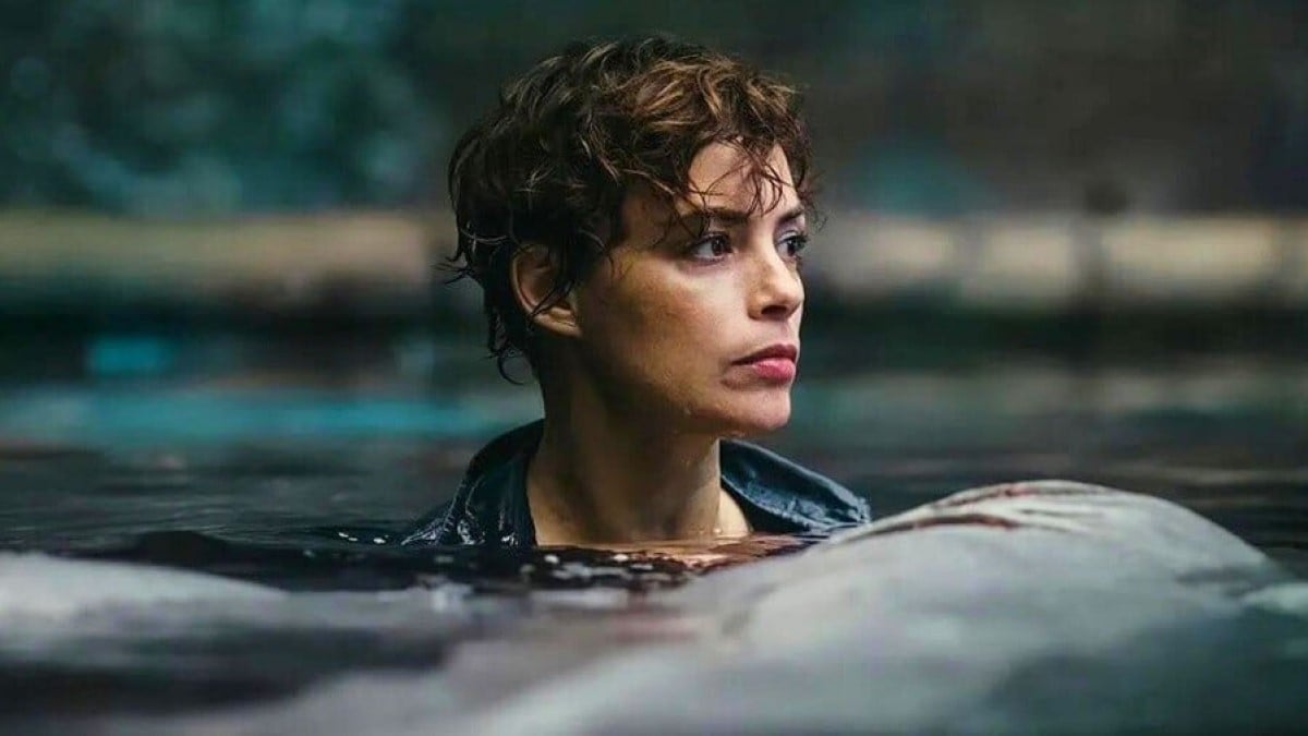 Un requin dans le Seine au milieu des JO, le scénario catastrophe du nouveau film Netflix