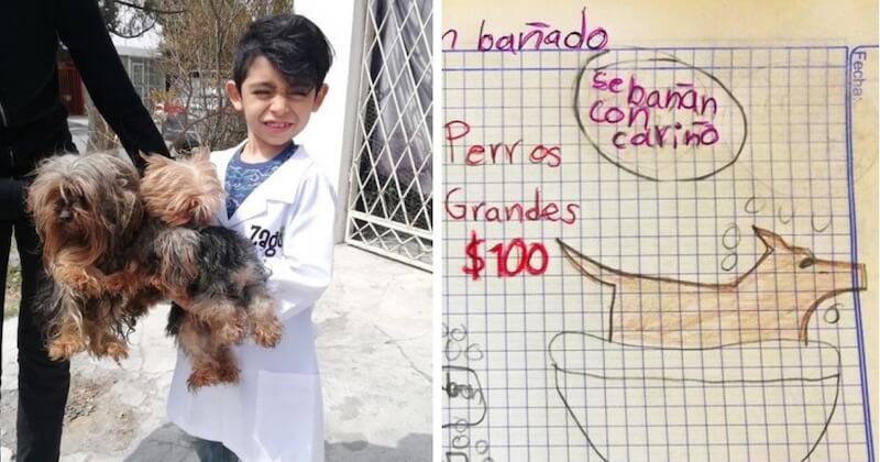  Mexique : un garçon de sept ans fait prendre des bains à des chiens pour payer ses études vétérinaires 