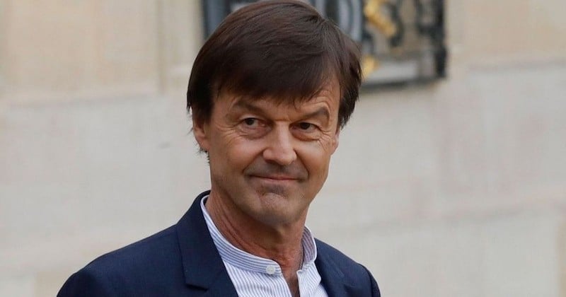 Nicolas Hulot favorable à un repas végétarien obligatoire, un jour par semaine, dans les écoles