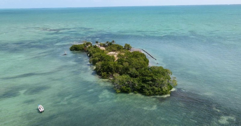 Caraïbes : ils achètent une île pour la transformer en micronation avec son propre drapeau et hymne national