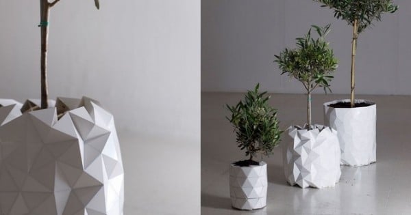 Découvrez un pot de fleurs en origami qui grandit à mesure que votre plante pousse ! Magique !
