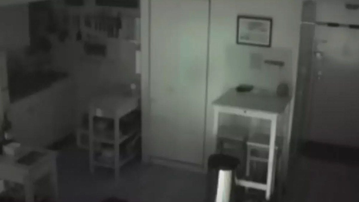 Alors que sa nourriture disparaît du frigo, Il installe une caméra dans sa cuisine et ce qu'il découvre est effrayant 