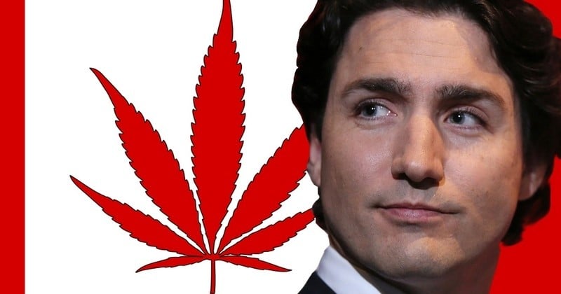 Le Canada va légaliser totalement le cannabis... Et permettre à chacun de faire pousser jusqu'à quatre pieds dans son jardin !