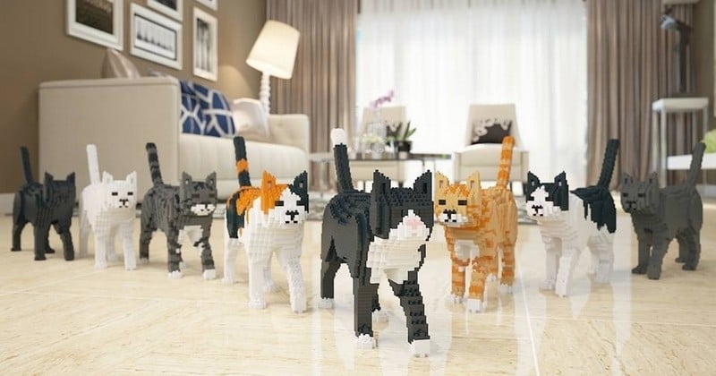 Une entreprise chinoise a créé des statues Lego en forme de chats, pour ceux qui ne se lassent pas de les aimer ! 