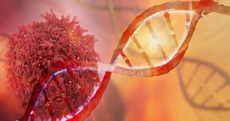 Des chercheurs annoncent avoir trouvé une cellule capable de « traiter n'importe quel cancer »