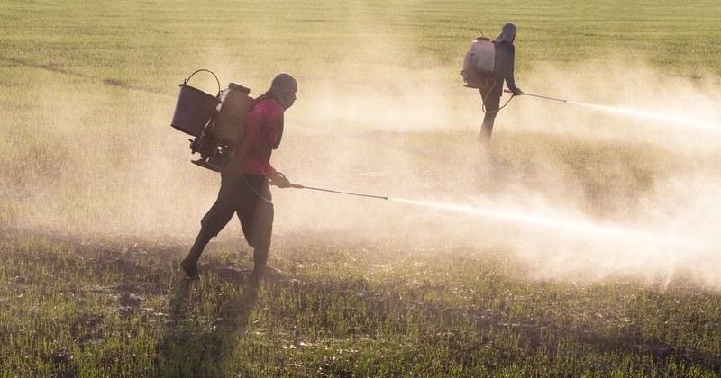 Sortir du glyphosate : le défi difficile, mais pas insurmontable, qui attend Nicolas Hulot pour les quatre années à venir