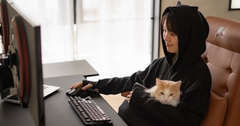 Une société nippone a créé un sweat muni d'une poche centrale pour y blottir son chat 