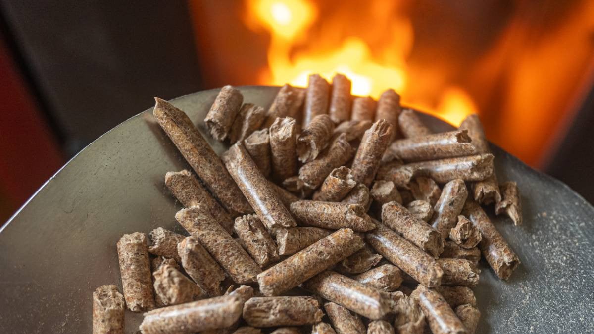 Granulés : l'énergie propre qui séduit de plus en plus de foyers