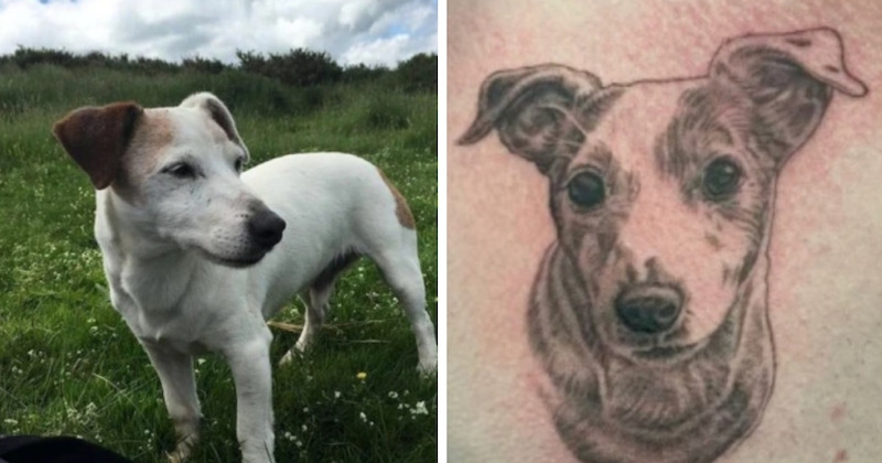 Après le décès du son chien, un homme se fait tatouer avec les cendres d'animal pour lui rendre hommage